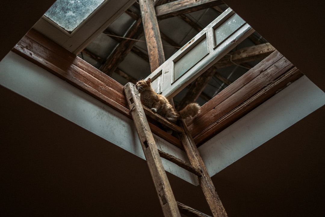Framing contractor climbing an extension ladder on a Rhode Island residential job site