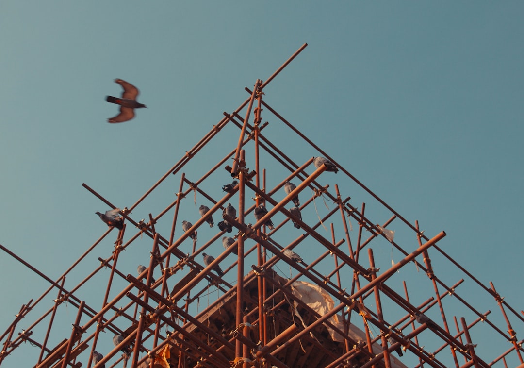 Scaffolding erected on a construction site in Tennessee inspected for OSHA compliance